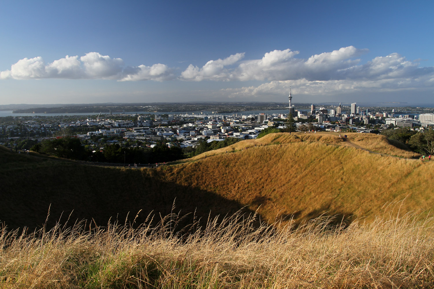 Vue d’Auckland depuis le Mt Eden : c’est l’été, malgré la fraîcheur dès que le vent pointe le bout de son nez