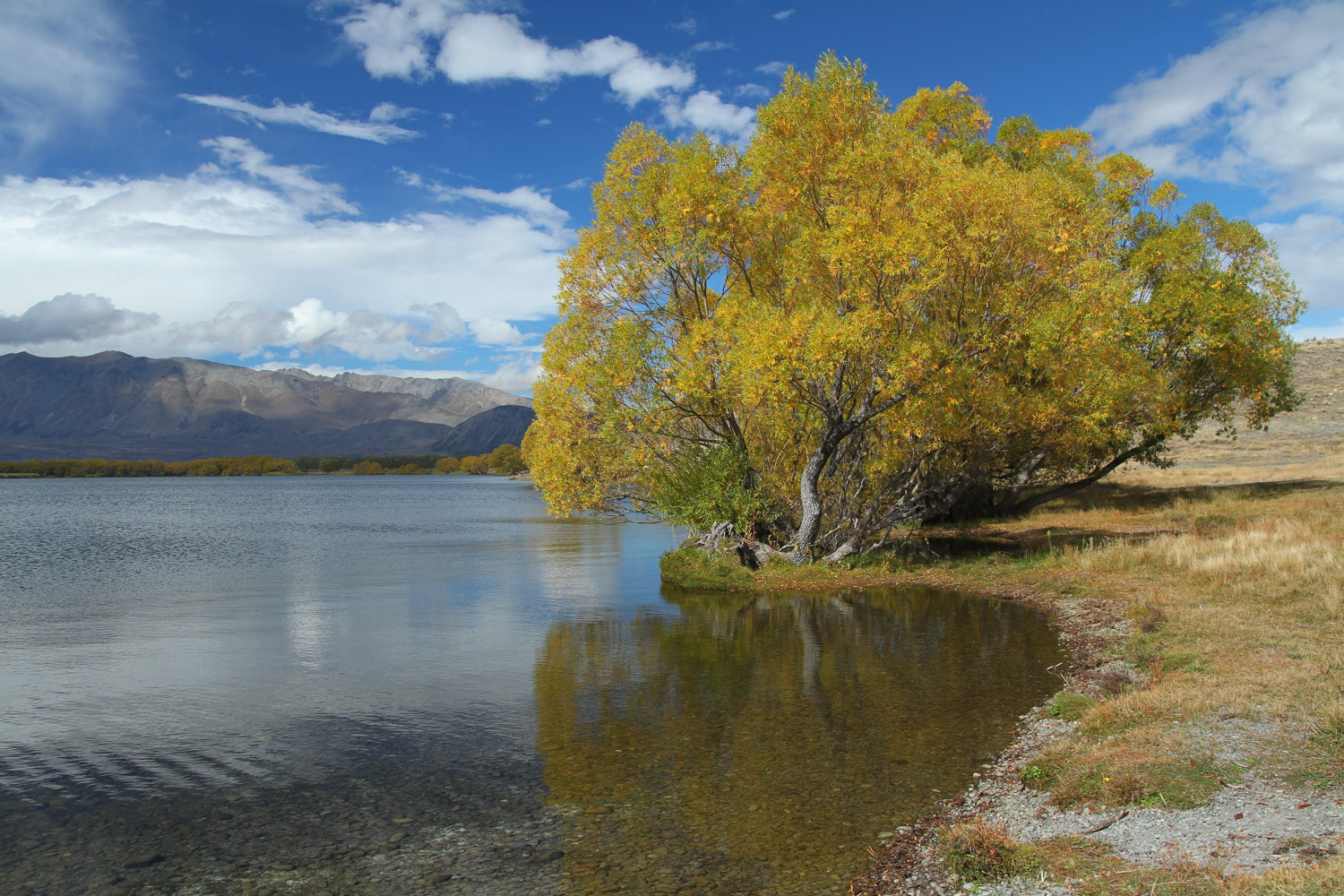 L'automne au bord du lac McGregor