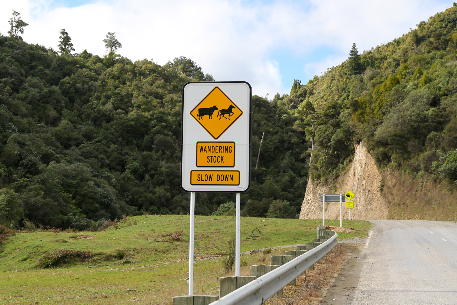 Route du parc national Te Urewera
