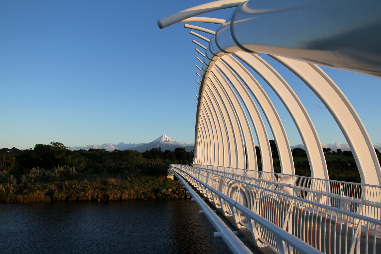 Te Rewa Rewa bridge