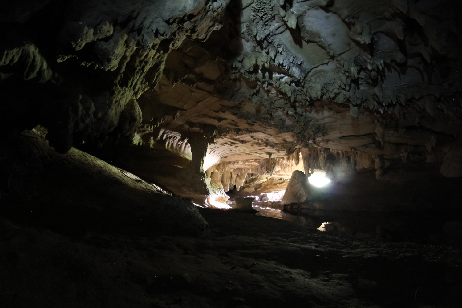 Entrée des Waipu caves